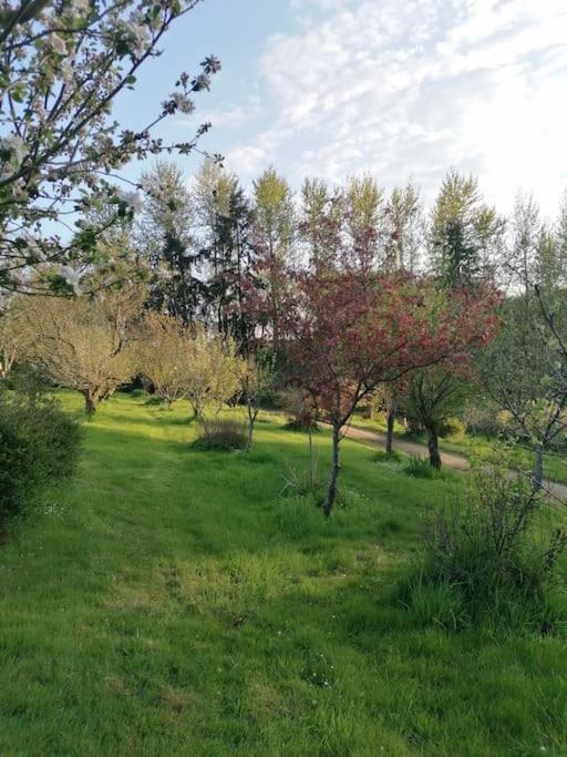 Chalet En Pleine Nature Au Bord D'Un Etang Lanvallay 外观 照片