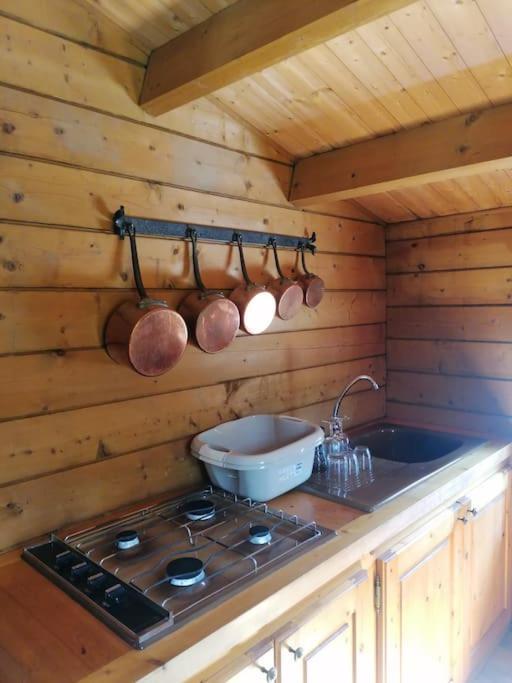 Chalet En Pleine Nature Au Bord D'Un Etang Lanvallay 外观 照片