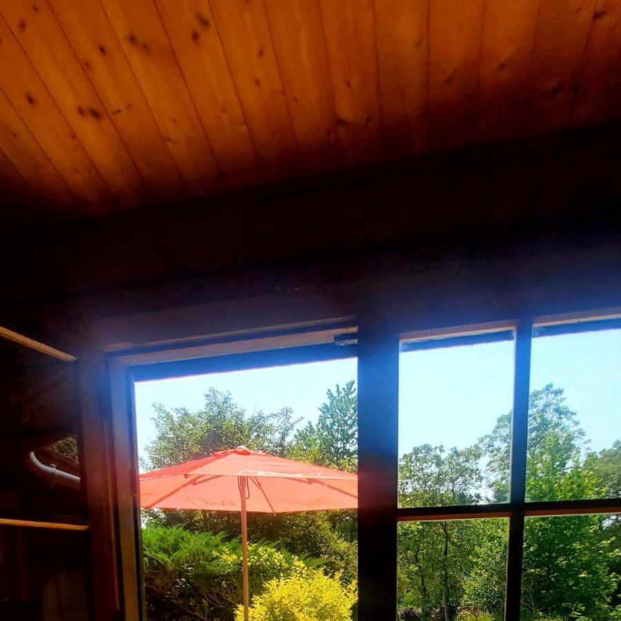 Chalet En Pleine Nature Au Bord D'Un Etang Lanvallay 外观 照片